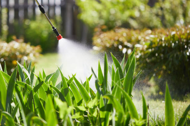 24/7 Emergency Fumigation Services experts in Cicero, IN