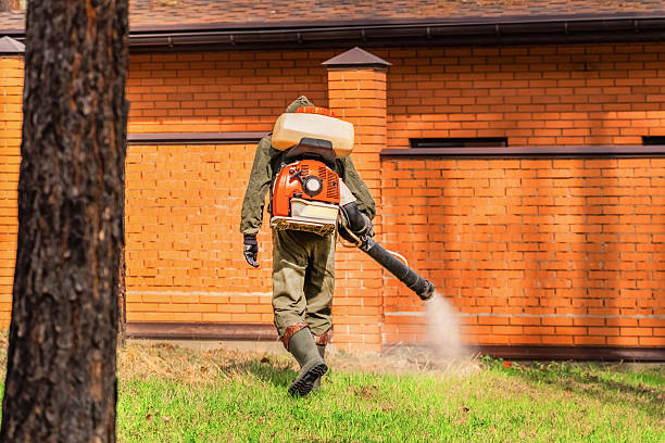 Trusted Termite Control service in Cicero, IN - Nex Pest Control